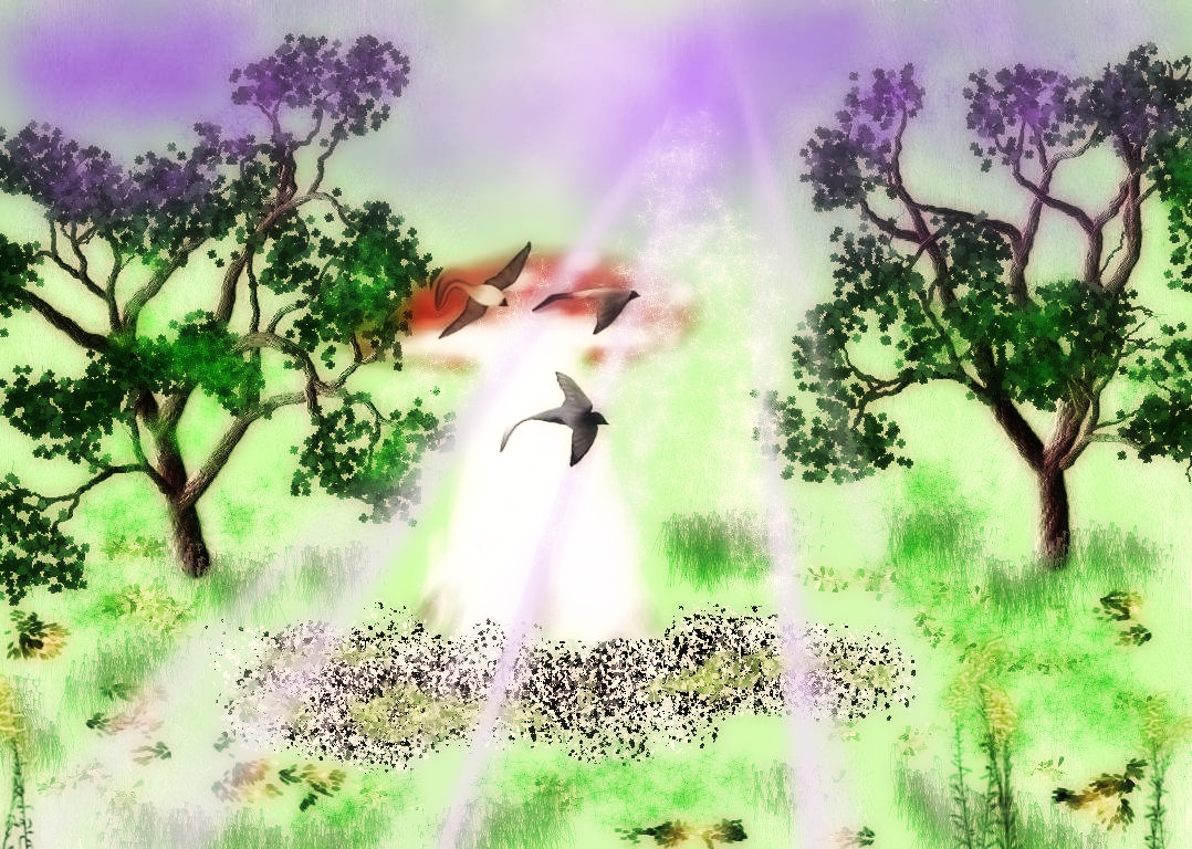 toadstool soften jpg